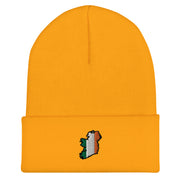 Tricolour, Winter Hat, Various Colors